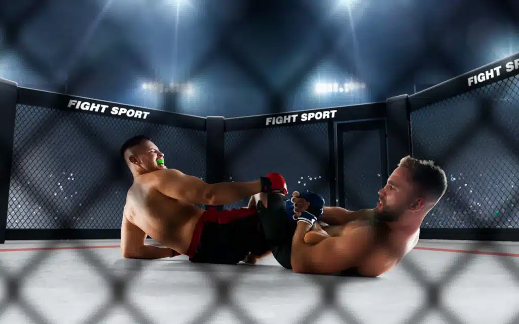 2 homme dans l'octogone en combat de MMA